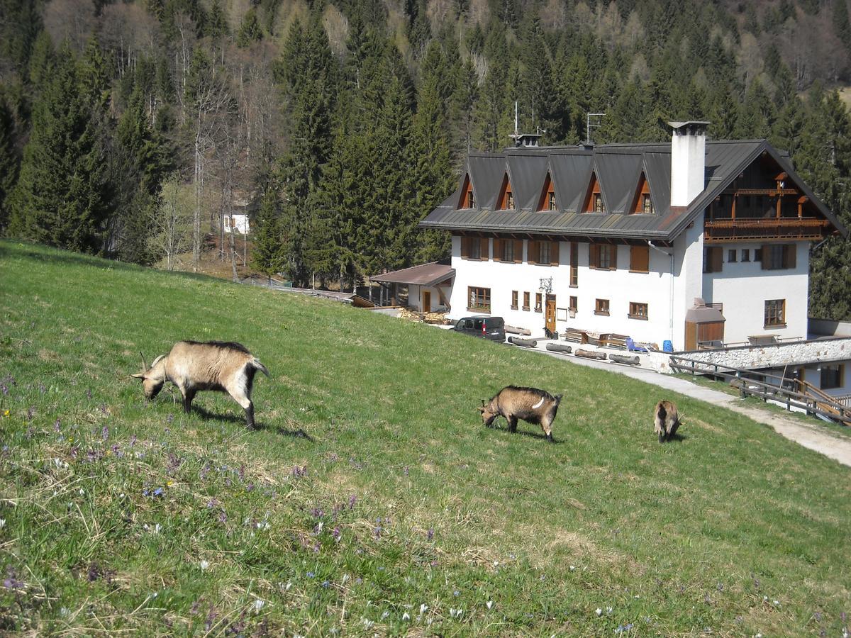 Hotel Al Tajol Lamon Zewnętrze zdjęcie